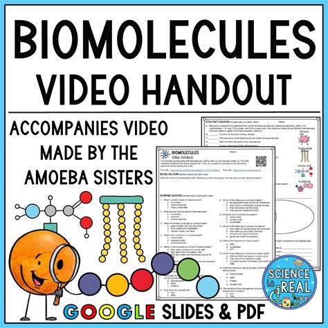 Biomolecules Amoeba Sisters Video Handout - Science is Real Education