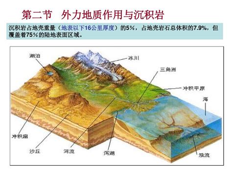 第三章 岩石 第二节 外力地质作用与沉积岩word文档在线阅读与下载无忧文档