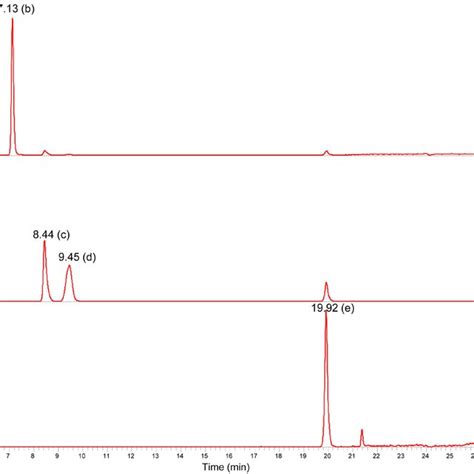 Typical Liquid Chromatography Tandem Mass Spectrometry Chromatogram Of