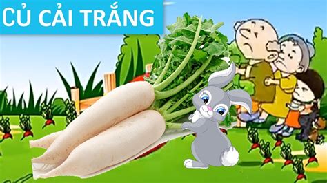 Củ Cải Trắng | Truyện mầm non | Truyện thiếu nhi | Truyện Cổ Tích Việt ...