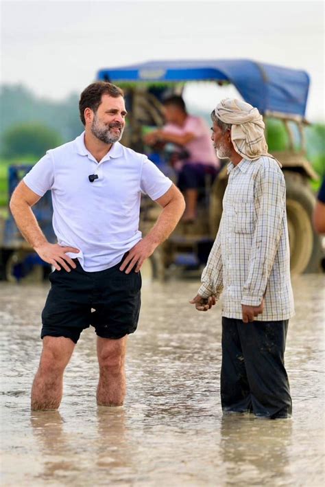 Congress Leader Rahul Gandhi Steps Into Paddy Fields And Helps The ...