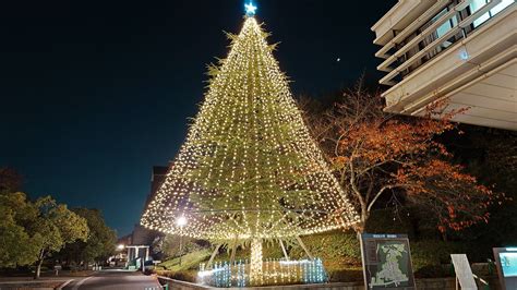 同志社大学京田辺校地 クリスマス・イルミネーション 京田辺市｜イルミネーションガイド2024 2025 ウォーカープラス