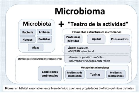 Microbiota Frente A Microbioma