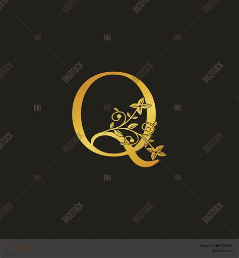 Golden Letter Q Vector And Photo Free Trial Bigstock