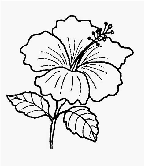 Gambar Pohon Hitam Putih Clipart Best