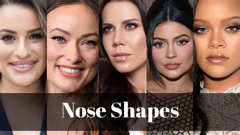 How To Contour Different Nose Shapes How To Contour Different Nose