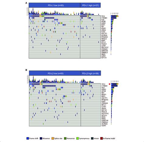 Association Between Pd Ls And Mutational Signatures In Hcc Ab