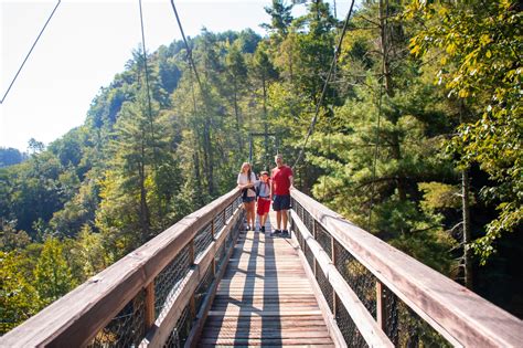 Tallulah Gorge Waterfall Hike & Suspension Bridge • Georgia