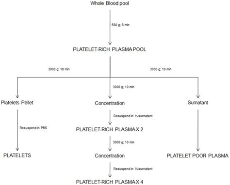 The Image Illustrates The Procedure Used To Obtain P Prp Ppp The Pure