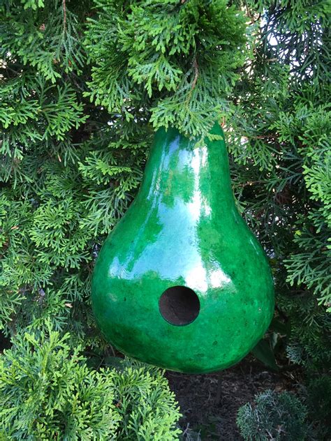 Gourd Birdhouses Special 3 Stained Handmade Etsy