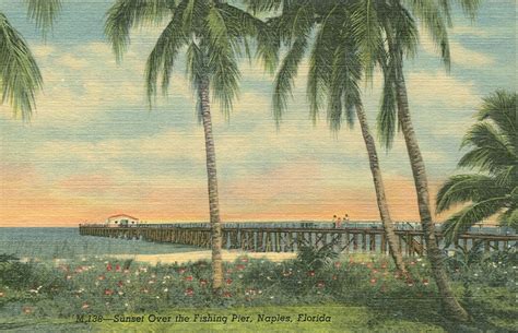 Vintage Travel Postcards Naples Florida