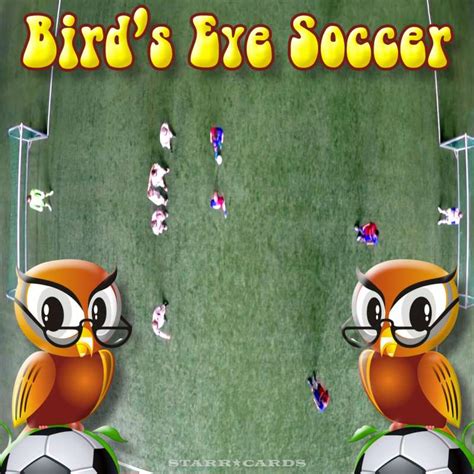 Playing bird's-eye view soccer isn't easy, nor is binocular soccer