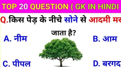 Kis Ped Ke Niche Sone Se Insan Mar Jata Hai Gk Questions In Hindi