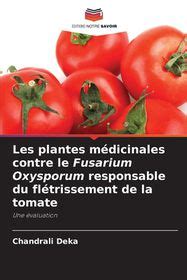 Les Plantes M Dicinales Contre Le Fusarium Oxysporum Responsable Du Fl