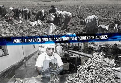 Agricultura En Emergencia Sin Promover Agroexportaciones El Montonero