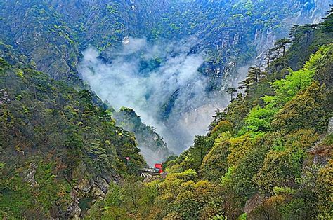 苏轼的诗《庐山烟雨浙江潮》颇富禅意 却写尽了人生真谛 哔哩哔哩