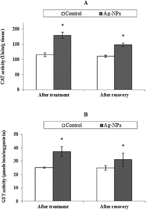 Enzymatic Oxidative Stress Biomarkers In The Digestive Gland Of T