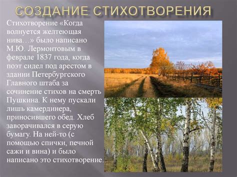 Стихотворение «Когда волнуется желтеющая нива…» М.Ю. Лермонтова ...