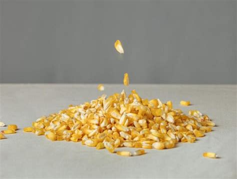 Cancha Corn - Recetas Scoolinary