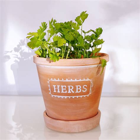 Terracotta Herb Planter By Dingading Notonthehighstreet