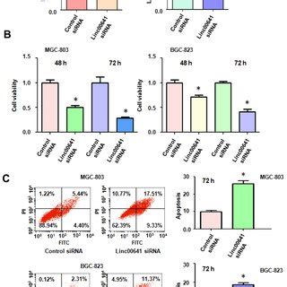 Effects Of Linc Silencing On Viability And Apoptosis A