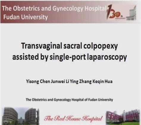 Transvaginal Single Port Laparoscopy Sacrocolpopexy Journal Of