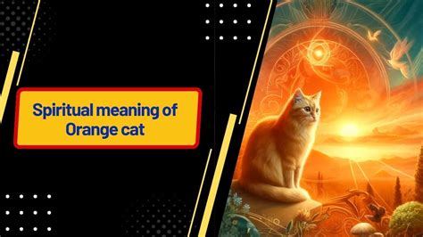 Spiritual Meaning Of Orange Cat