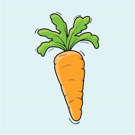 Illustration Of Carrot Vector Drawing 21724967 Vector Art At Vecteezy