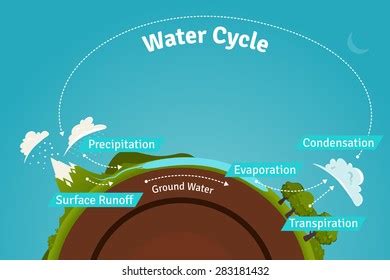 Water Cycle Illustration Stock Vector (Royalty Free) 283270787 ...