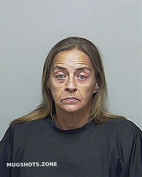 BLOW ROBIN ANN 11 24 2022 Putnam County Mugshots Zone