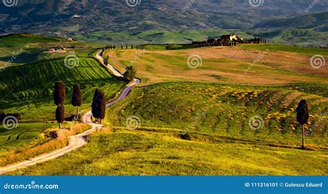 Tuscany Scene From Gladiator Movie With Road And Farmhouse Royalty Free