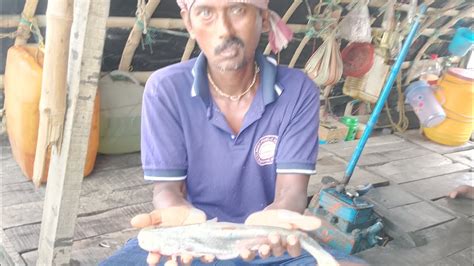 আজকে ইলিশ জাল ফেলে বড় বড় পাঙ্গাস মাছ 🐠আর ভোলা ও ইলিশ 🐟পেলাম Youtube