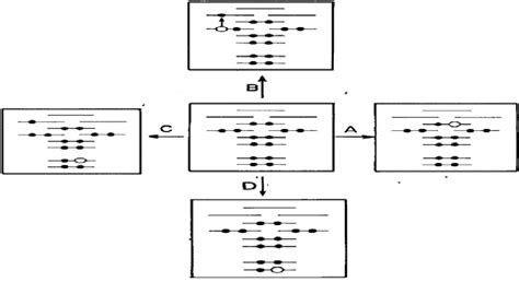 electron spectroscopy  molecular processes   centre