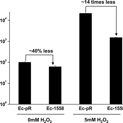 Intracellular Ros Assay The Ec Pr And Ec 1558 Strains Were Either Left