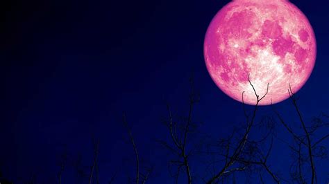 Superluna de Fresa dónde y cuándo ver el fenómeno astronómico