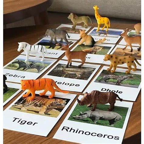 Montessori Teaching Aids Animal Model Card Matching Literacy Literacy