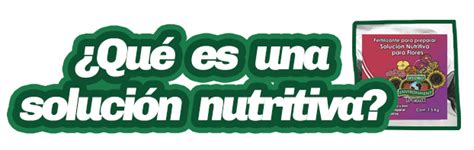 Gu A Qu Es La Soluci N Nutritiva Hydro Environment