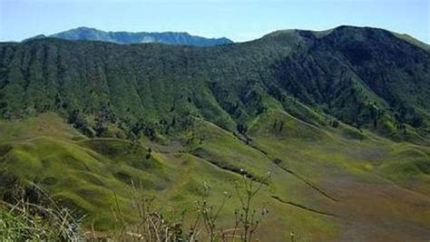 Wisata Taman Nasional Lorentz Di Papua Yang Wajib Dikunjungi FREEDOM