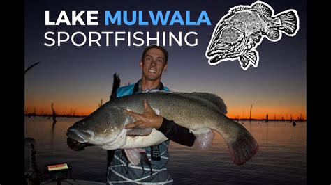 Lake Mulwala Sportfishing Guided Murray Cod Fishing Youtube