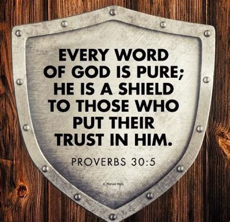 Every Word Of God Is Pure He Is A Shield Unto Them That Put Their