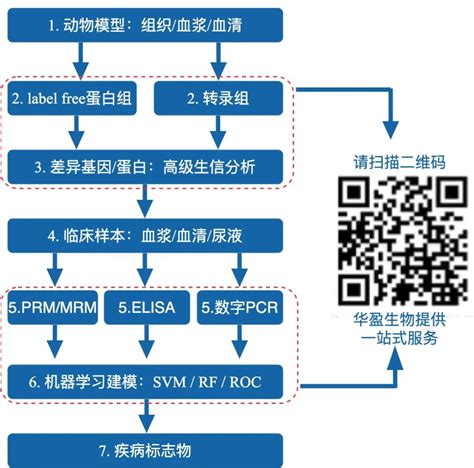 上海华盈生物医药科技有限公司 高分文章策略一 动物模型在蛋白标志物研究中的妙用