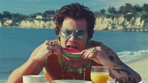 Harry Styles Watermelon Sugar Music Video Is All About Touching E News