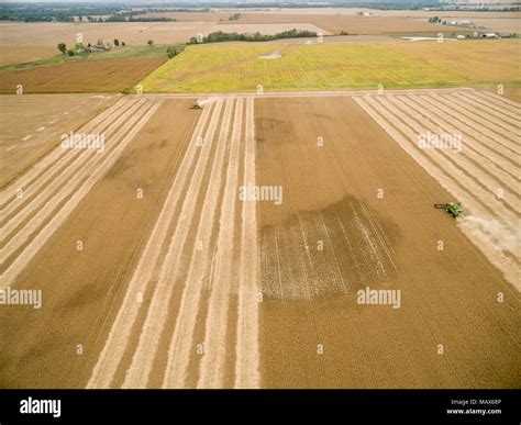 Combines Harvesting Soybeans Hi Res Stock Photography And Images Alamy