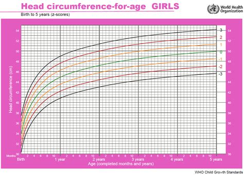 Solved There are six girls in the family who are born every | Chegg.com