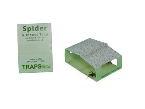 Green Spider Trap - Improved design, safe, non-toxic for spiders and insects: sleep soundly