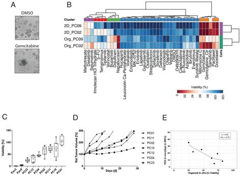 Drug Response In Pdac Organoids And Pdx Models Are Correlated A Download Scientific Diagram