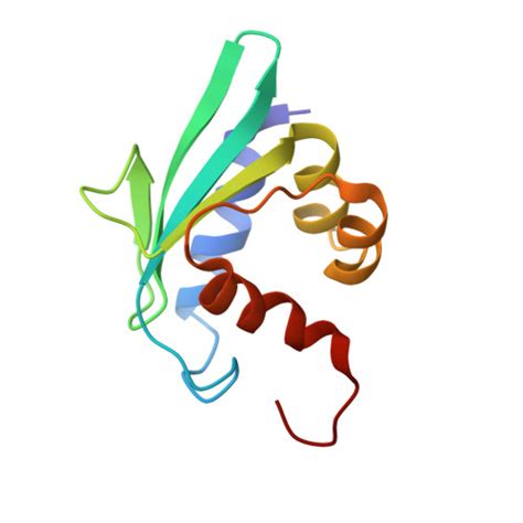 RCSB PDB 2NBM Solution NMR Structure Of Ligand Free Sterol Carrier