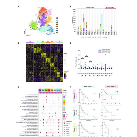 Macrophage Subtype Analysis Based On Single Cell Gene Expression A Download Scientific