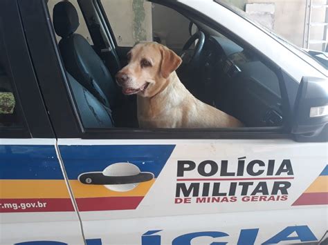 C Es Policiais Ajudam Militares No Combate Ao Crime Conhe A Como O