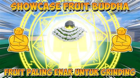 Showcase Devil Fruit Buddha Milik Sengoku Fruit No Untuk Grinding